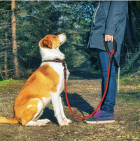 Dog Leash Nylon Pet Dog Leash Rope For Small Medium Large Dogs Walking Training Pet Suppiles