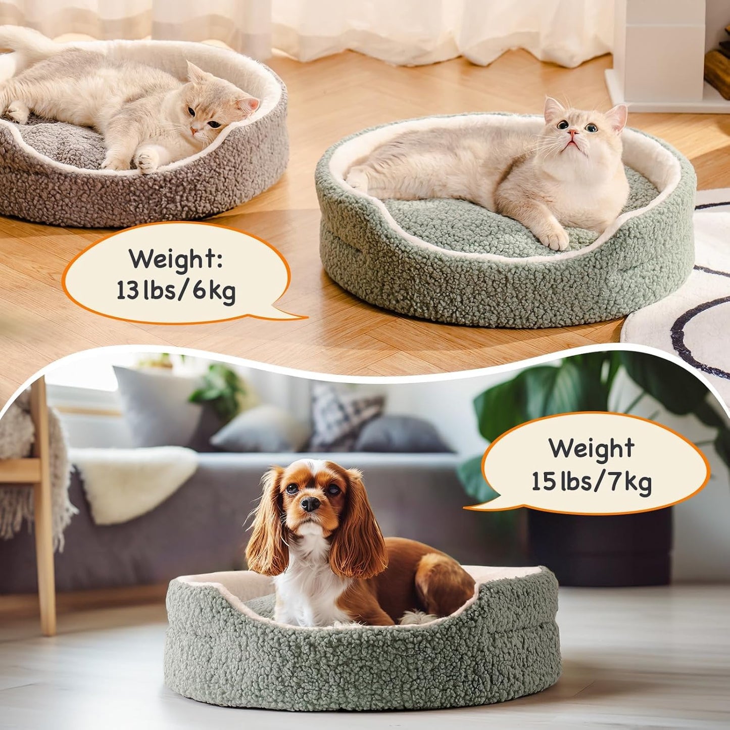 Pet Bed For Cats & Small Dogs - 23x23x7 Inch Round Orthopedic Bed With Non-Slip Bottom, Plush Indoor Cat Bed For Kittens & Puppies, Sage Green
