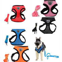 Dog Harness